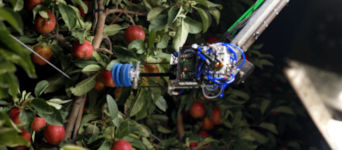 Apfelpflückroboter