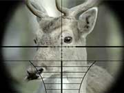 Deer Rudolph and Eagle Eye, Samsung