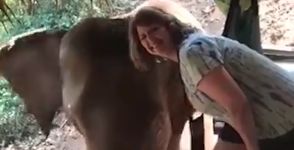Elefant Selfie Frau