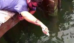 Fisch beißt Mann in Arm