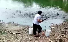 Fisch Fütterung