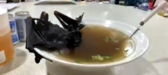 Fledermaus Suppe Wuhan Virus
