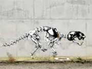 graffiti, graffiti schutz, create your own