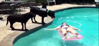 Hund Pool Luftmatratze Frau
