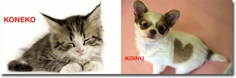 japanisch lernen, katze, hund
