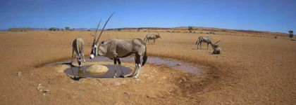 Namib-Wüste Webcam Namibia