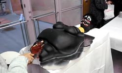 painful cake, makode linde