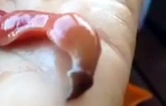 Schnurwurm Hand
