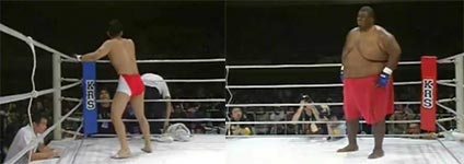 sumo vs fighter