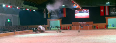 Pferd Wagen Stunt Show