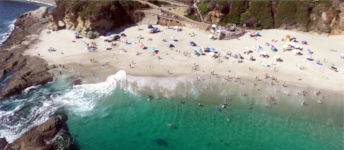 Grauwal Drohne Laguna Beach